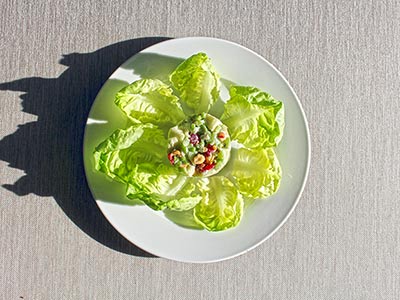 Waldorf Apple Salad